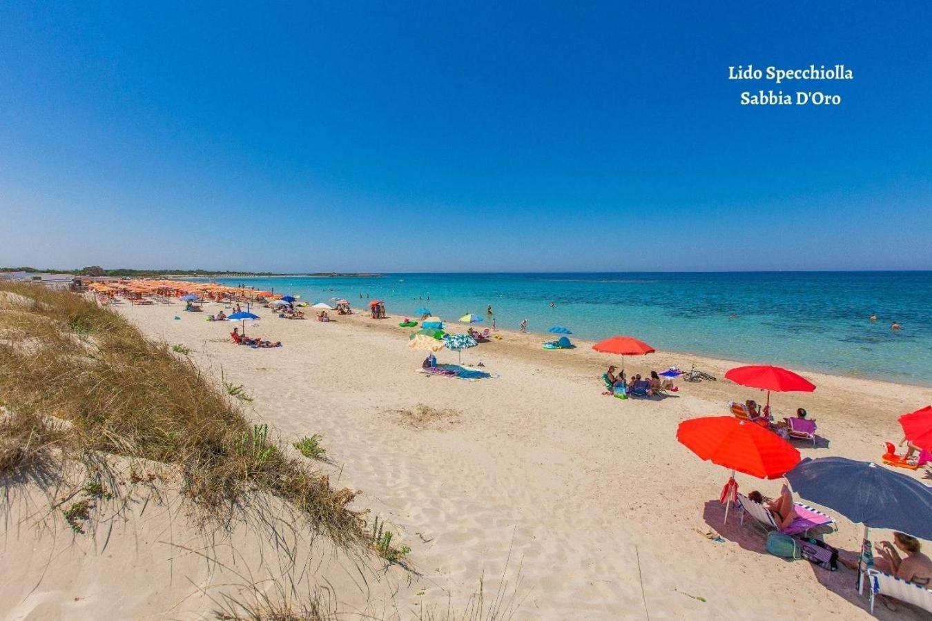 La Maison De Rosetta Al Mare سبيكتشيولا المظهر الخارجي الصورة